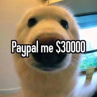 PayPal me $30000