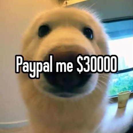 PayPal me $30000 (sped 10%)