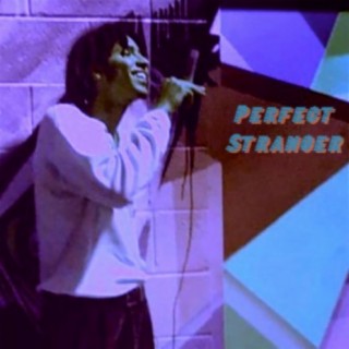 PERFECT STRANGER