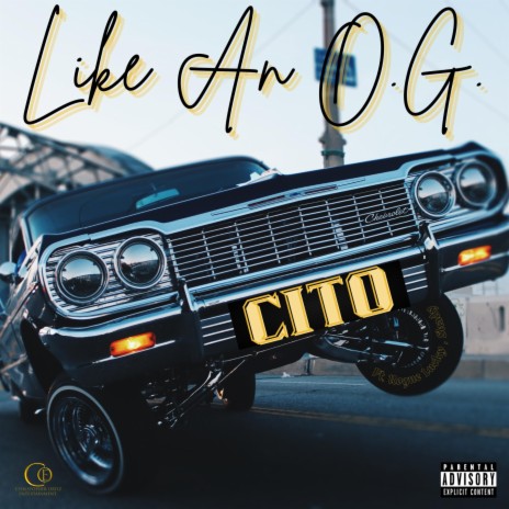 Like An O.G. ft. Rogue Lucky & Shady | Boomplay Music