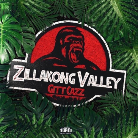 Zillakong Valley | Boomplay Music