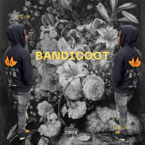 Bandicoot | Boomplay Music