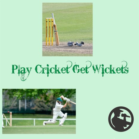 Play Cricket Get Wickets | Boomplay Music