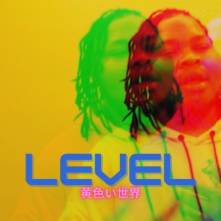 Level lyrics | Boomplay Music