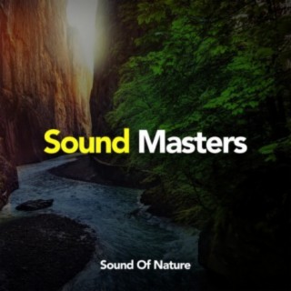 Sound Masters
