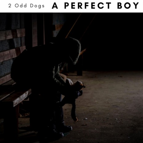 A Perfect Boy | Boomplay Music