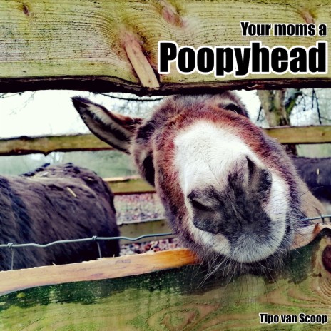 Your moms a Poopyhead | Boomplay Music