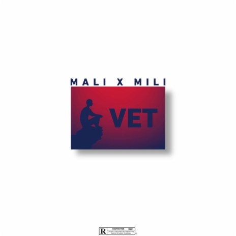 VET ft. MALI06 | Boomplay Music