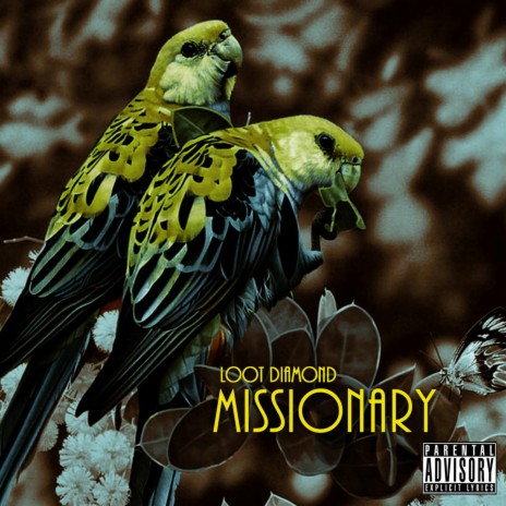 Missionary | Boomplay Music