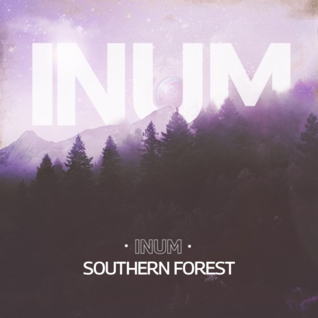 Southern Forest | Boomplay Music