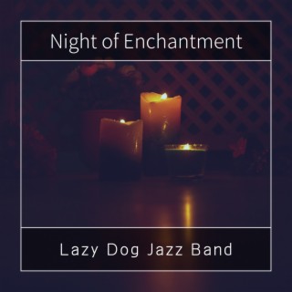 Night of Enchantment