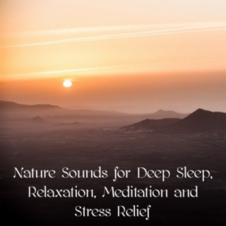 Nature Sounds for Deep Sleep, Relaxation, Meditation and Stress Relief
