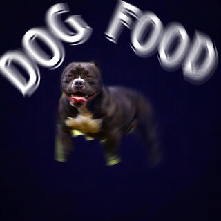 Dog Food