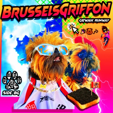 BRUSSELS GRIFFON (CATWALK RUNWAY) | Boomplay Music