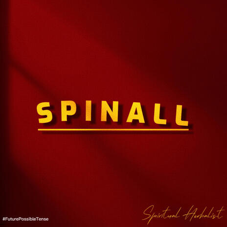 Spinall | Boomplay Music