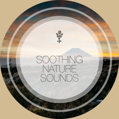 Crashing Waves With Seaguls ft. Sounds of Nature & White Noise Research | Boomplay Music