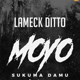 Moyo Sukuma Damu lyrics | Boomplay Music