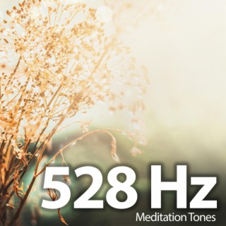 528 Hz Meditation Tones Brain Music