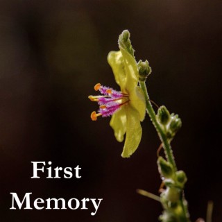 First Memory