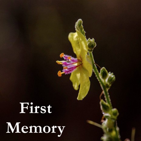 First Memory | Boomplay Music