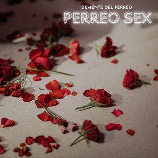 PERREO SEX