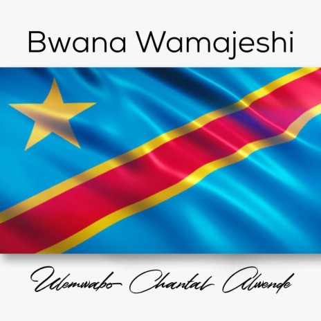 Bwana Wamajeshi