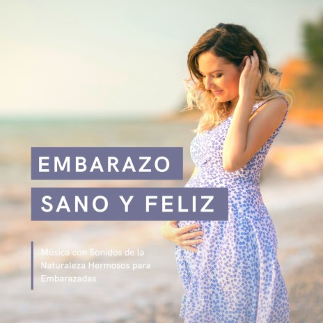 Embarazo Sano y Feliz | Boomplay Music
