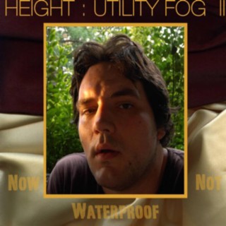 Utility Fog 2