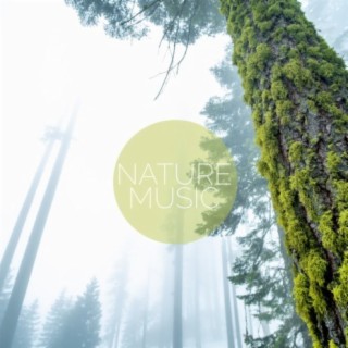 Nature Music