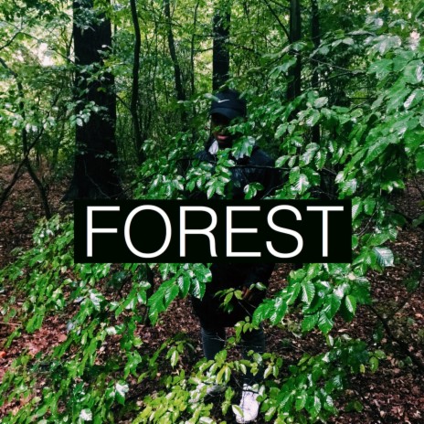 Forest (feat. Stevie Dutch & Paysh) | Boomplay Music