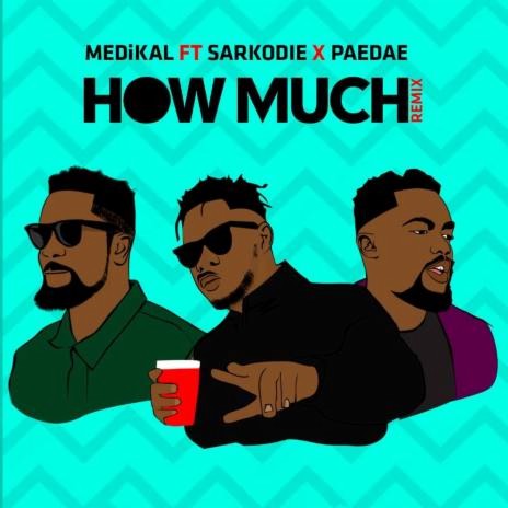 How Much (Remix) | Boomplay Music