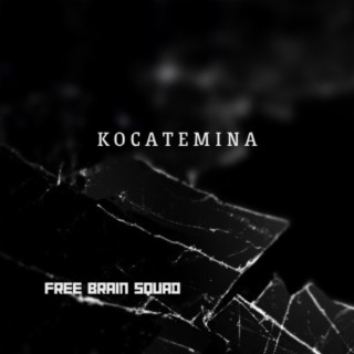 Kocatemina