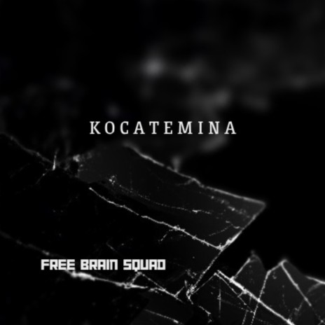 Kocatemina | Boomplay Music