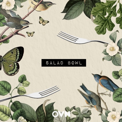 Salad Bowl | Boomplay Music