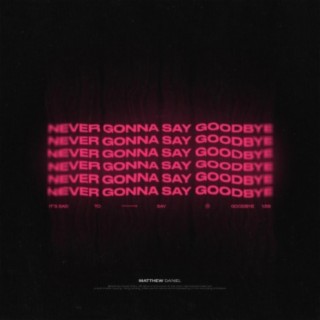 Never Gonna Say Goodbye lyrics | Boomplay Music
