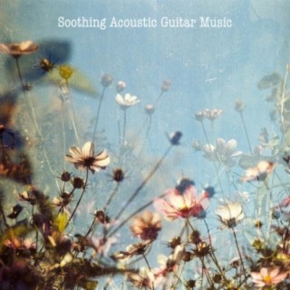 Soothing Acoustic Guitar Music