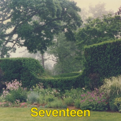 Seventeen | Boomplay Music