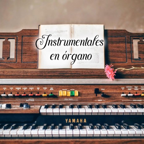 Música Instrumental en Órgano | Boomplay Music