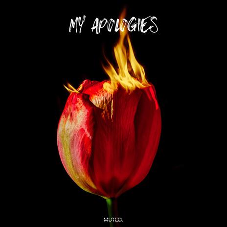 My Apologies | Boomplay Music