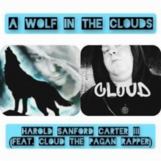 A wolf in the clouds (Remix)