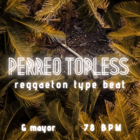 Perreo Topless (Instrumental) | Boomplay Music