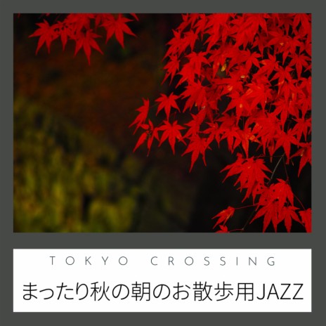 Crimson Leaves Dancing Light | Boomplay Music