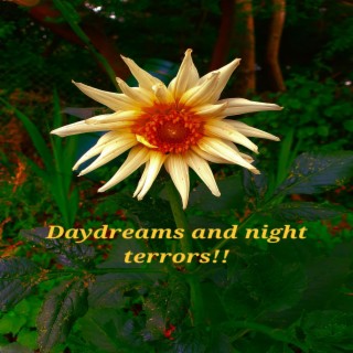 Daydreams and night terrors!!