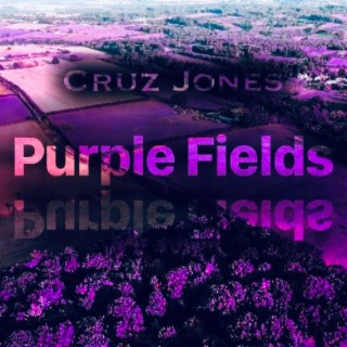 Purple Fields