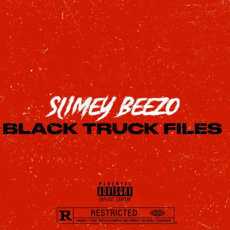 BLACK TRUCK FILES