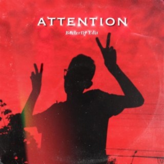 attention (Butterfly Edit)