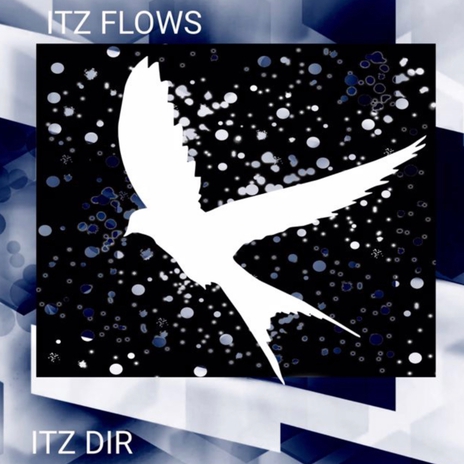 ITZ FLOWS | Boomplay Music