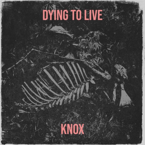 Dying to Live | Boomplay Music