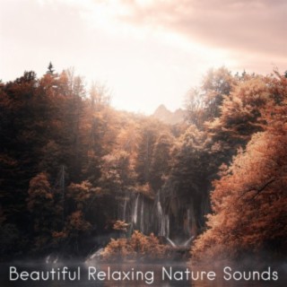 Beautiful Relaxing Nature Sounds