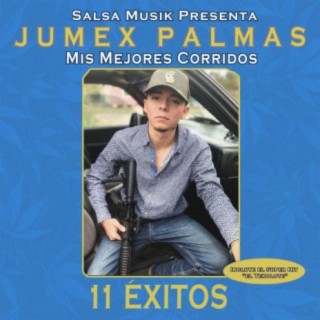 Mis Mejores Corridos (11 Exitos)